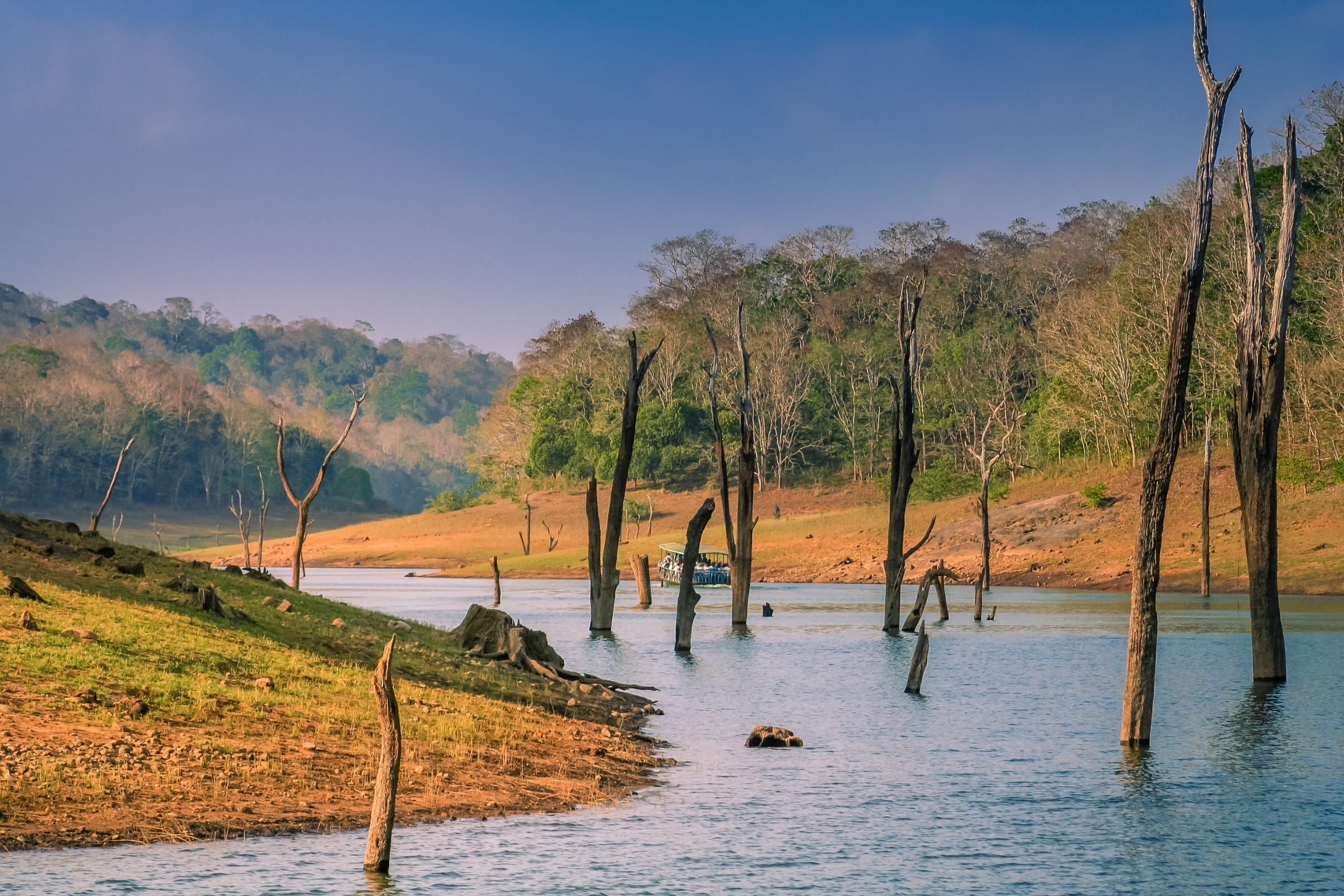 periyar national park.webp